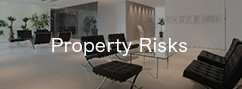 Property Risks