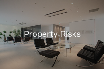 Property Risks